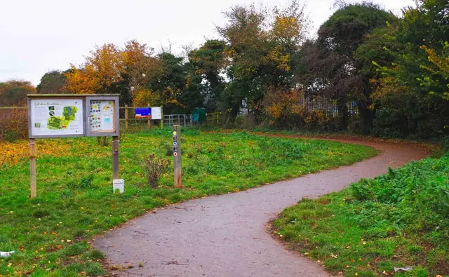 Stratton Woods Walk, Wiltshire