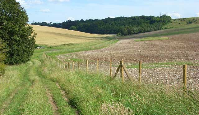 Upper Woodford Walk, Wiltshire