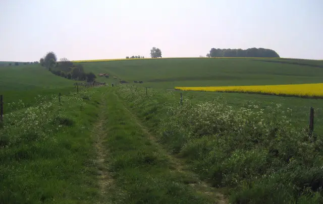 Urchfont Walk, Wiltshire