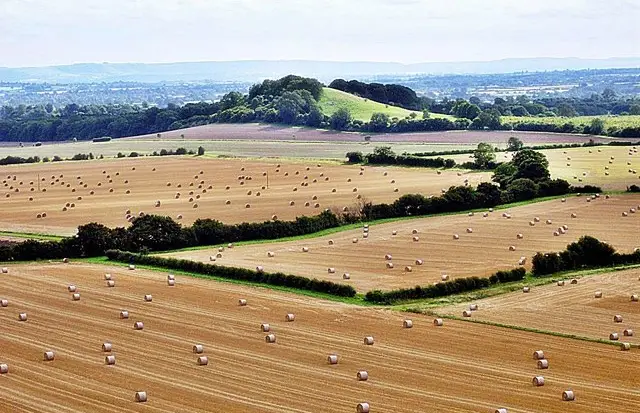 White Sheet Downs walk, Wiltshire