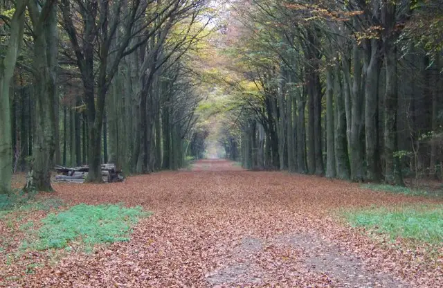 Wilton Walks, Wiltshire
