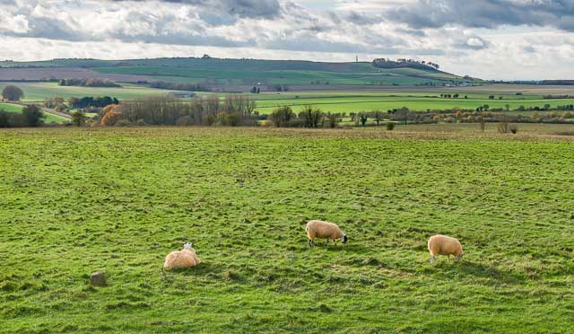 Yatesbury Walks, Wiltshire