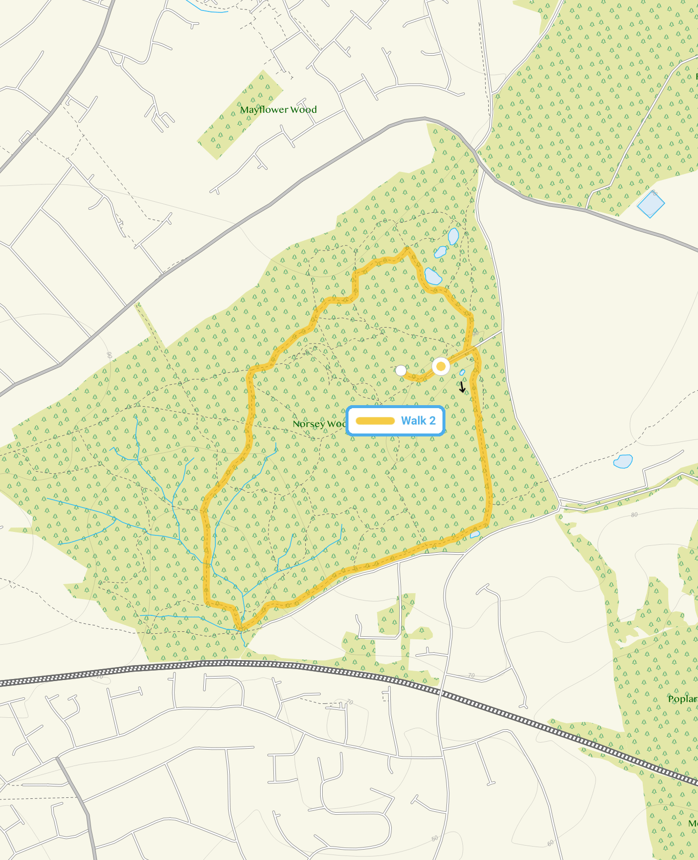 Route map for Norsey Woods Walk 2, a 1.75 mile circular walk in Essex
