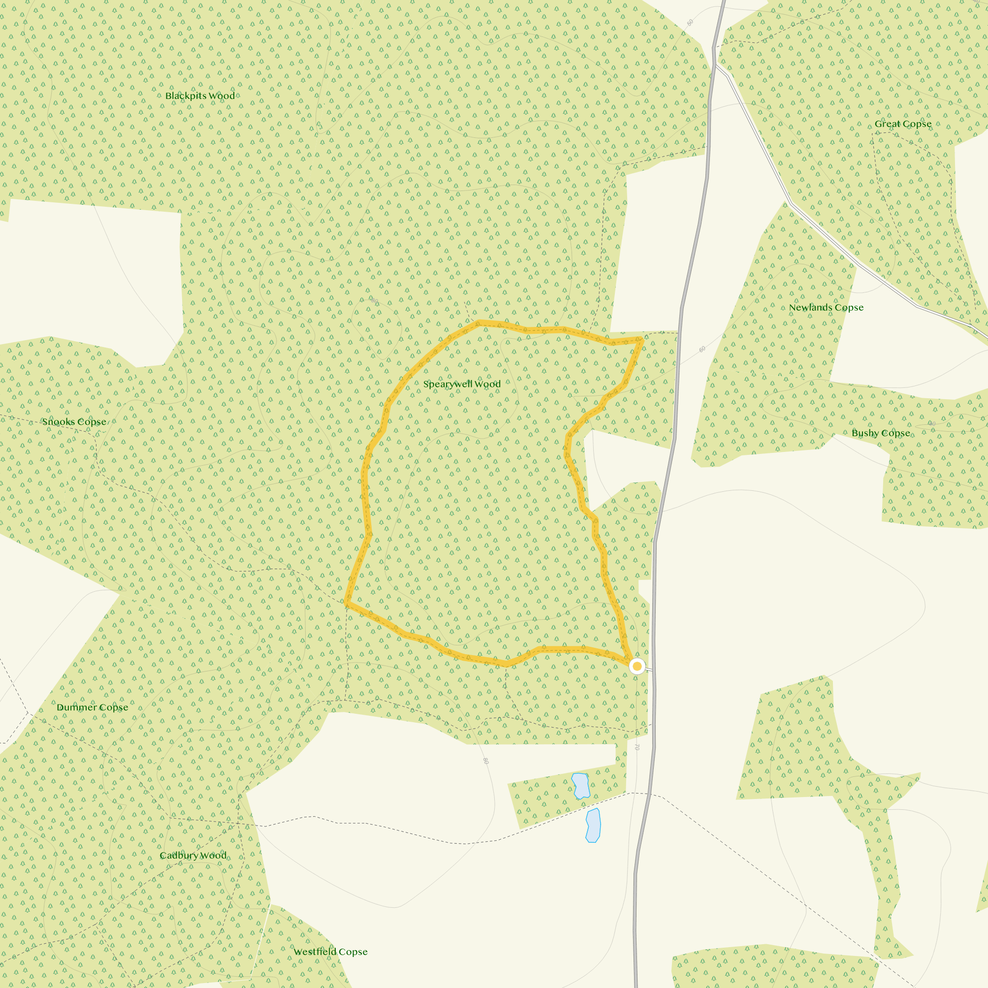 Route map for Spearywell Wood Walk 1, a 1 mile circular walk in Wiltshire